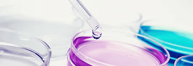 Trouver de nouvelles méthodes de contrôle de la contamination des cultures cellulaires