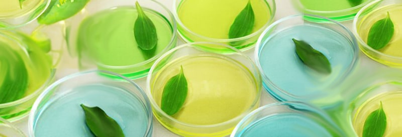 Quatre moyens concrets de donner la priorité à la durabilité dans votre laboratoire