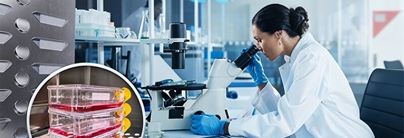 Culture cellulaire sans contamination : comment l’incubateur à CO₂ contribue-t-il à ce processus ?