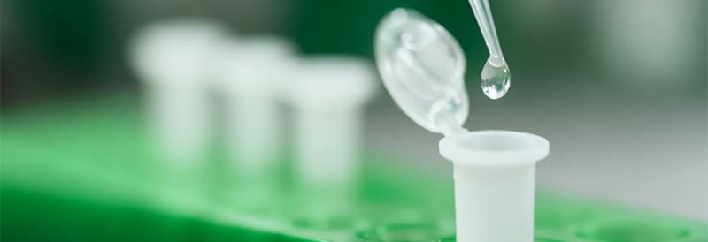 Optimisez votre immunoprécipitation (IP) avec les Nano-Traps ChromoTek