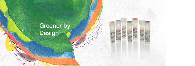 Expédition plus écologique: Avantage à température ambiante pour les anticorps Invitrogen