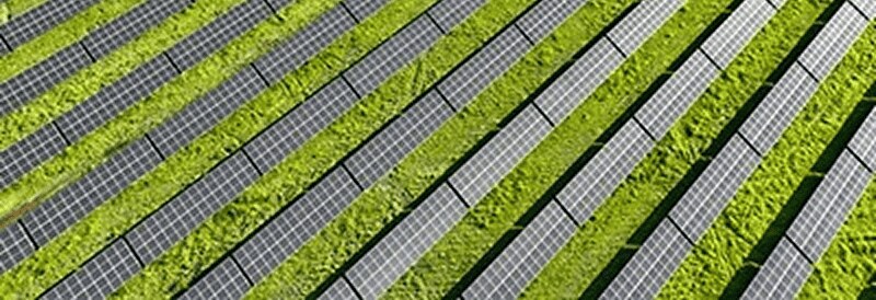 Double utilisation des terres : Panneaux solaires et agriculture