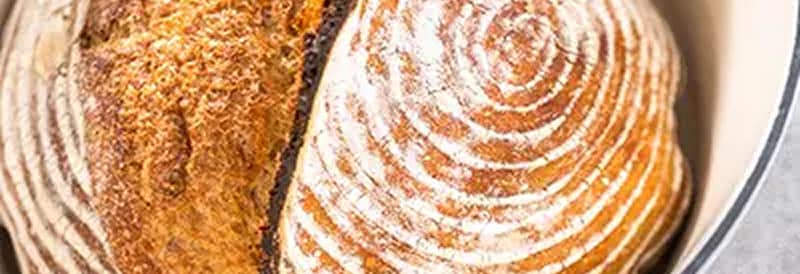 Principes fondamentaux de la fermentation : La science du pain au levain