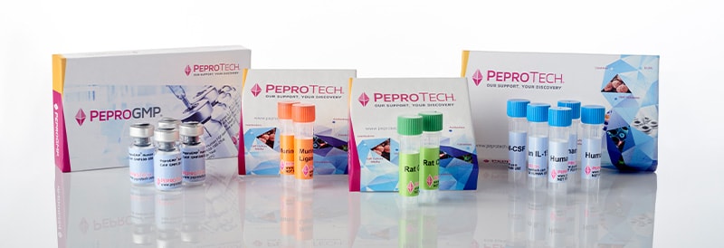 Choisir les cytokines pour leur cohérence : étude de cas sur l'utilisation du FGF-Basic avec des cellules souches pluripotentes, de la recherche à la fabrication