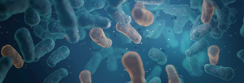 Principes fondamentaux de la sécurité des bioprocédés : tests de détection des endotoxines, des mycoplasmes et de stérilité 