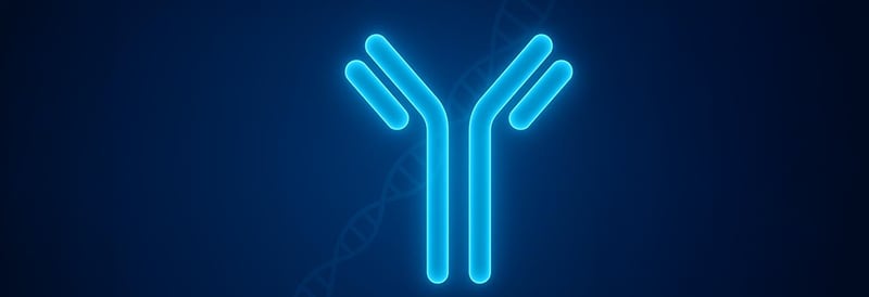 Anticorps recombinants : pourquoi les chercheurs les plébiscitent