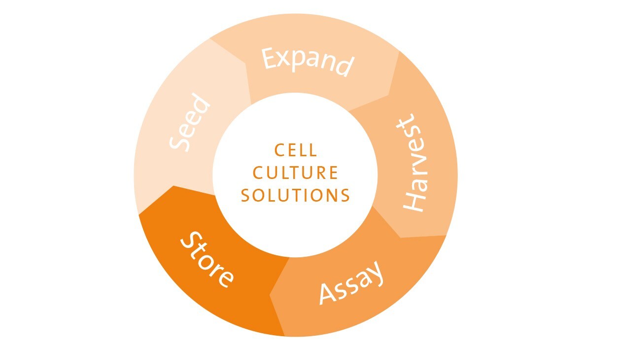 Cell Culture Solutions Cell Culture Solutions