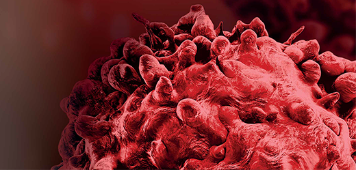 Guide de la recherche sur le cancer