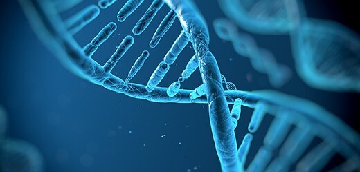 Analyse de l'expression génétique (ARNm)
