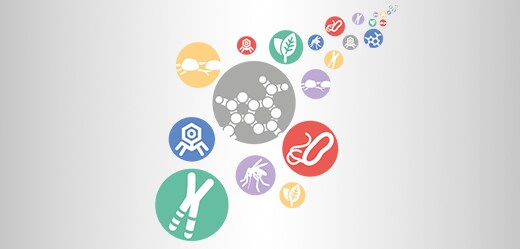 Manuel de PCR en temps réel