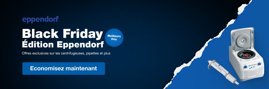 21647_Black_Friday_21633_Banner_FR 21647_Black_Friday_21633_Banner_FR