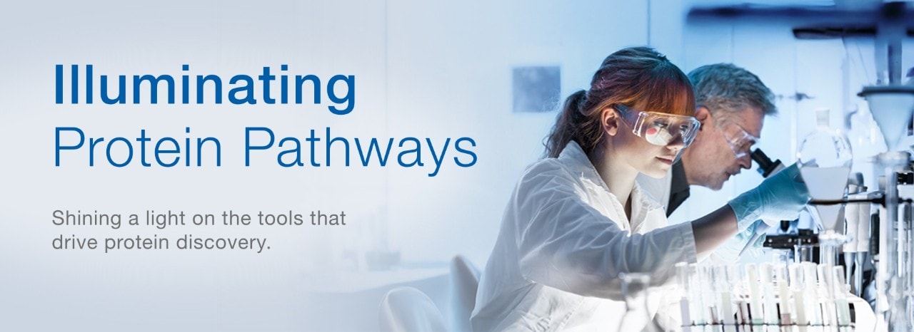 24148_Focus_on_Protein_Analysis_banner_page_desktop_FR 24148_Focus_on_Protein_Analysis_banner_page_desktop_FR