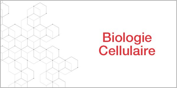 13834_CellBiology_FR Biologie Cellulaire