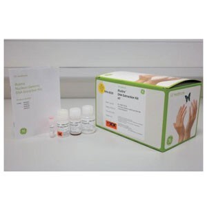 Molecular_Biology_Extraction Molecular_Biology_Extraction