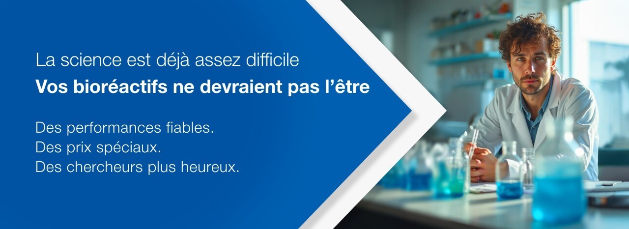 24128_Mega_Chemicals_banner_page_desktop_FR 24128_Mega_Chemicals_banner_page_desktop_FR