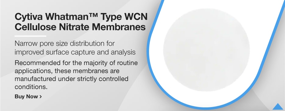 Cytiva Whatman™ Membranes en nitrate de cellulose, Type WCN Cytiva Whatman™ Membranes en nitrate de cellulose, Type WCN