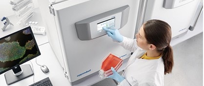Comment réduire les coûts cachés au sein de votre laboratoire de culture cellulaire ?