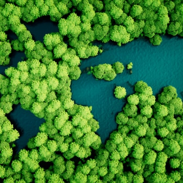 Des arbres et de l'eau en forme de carte du monde