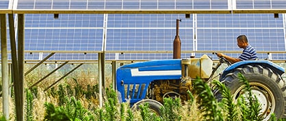 Un avenir plus radieux pour l'agriculture et les énergies renouvelables