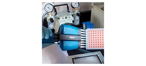 15308_tab_1_image_3_new 15308_tab_1_image_3_new